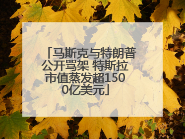 马斯克与特朗普公开骂架 特斯拉市值蒸发超1500亿美元