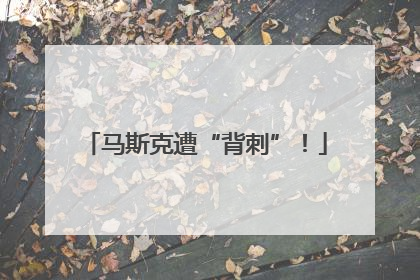 马斯克遭“背刺”！