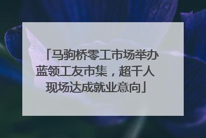 马驹桥零工市场举办蓝领工友市集，超千人现场达成就业意向