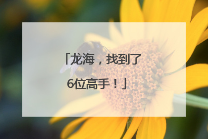 龙海，找到了6位高手！