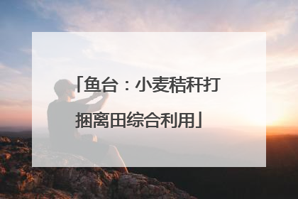 鱼台：小麦秸秆打捆离田综合利用