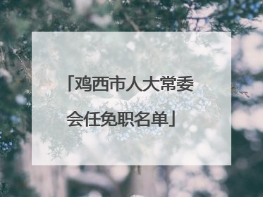鸡西市人大常委会任免职名单