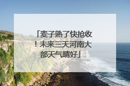 麦子熟了快抢收！未来三天河南大部天气晴好