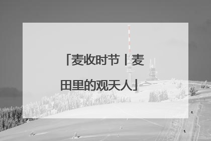麦收时节丨麦田里的观天人