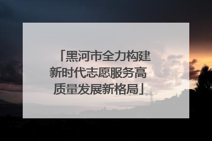黑河市全力构建新时代志愿服务高质量发展新格局