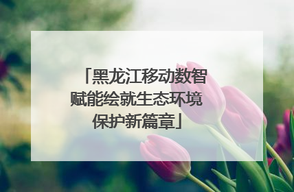 黑龙江移动数智赋能绘就生态环境保护新篇章