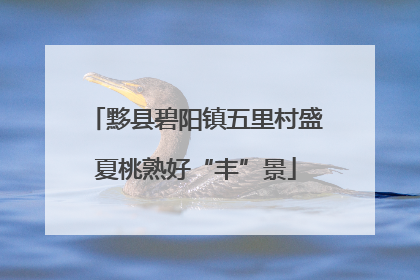 黟县碧阳镇五里村盛夏桃熟好“丰”景