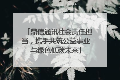 鼎信通讯社会责任担当，携手共筑公益事业与绿色低碳未来