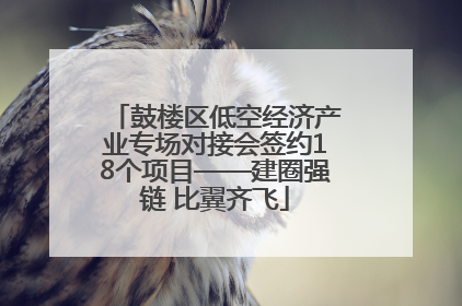 鼓楼区低空经济产业专场对接会签约18个项目——建圈强链 比翼齐飞