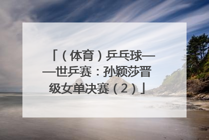 （体育）乒乓球——世乒赛：孙颖莎晋级女单决赛（2）