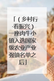 （乡村行·看振兴）一座肉牛小镇入选国家级农业产业强镇名单之后
