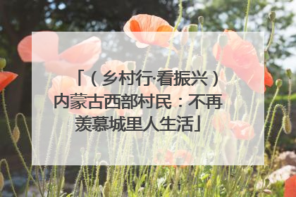 （乡村行·看振兴）内蒙古西部村民：不再羡慕城里人生活