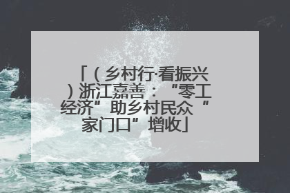 （乡村行·看振兴）浙江嘉善：“零工经济”助乡村民众“家门口”增收