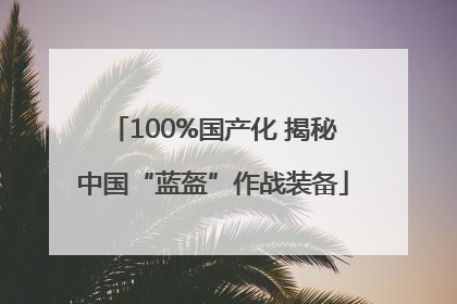 100%国产化 揭秘中国“蓝盔”作战装备
