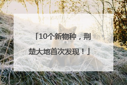 10个新物种，荆楚大地首次发现！