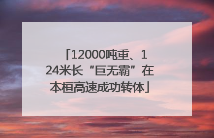 12000吨重、124米长“巨无霸”在本桓高速成功转体