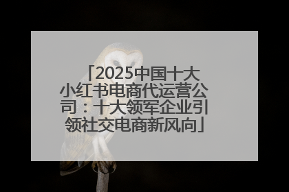 2025中国十大小红书电商代运营公司：十大领军企业引领社交电商新风向