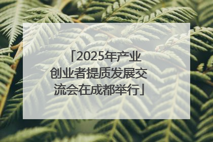 2025年产业创业者提质发展交流会在成都举行