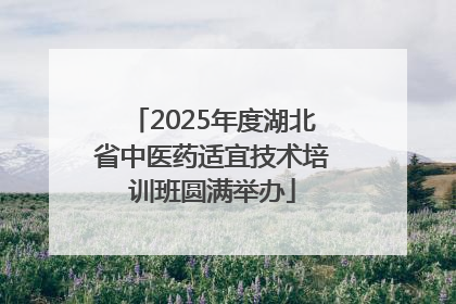 2025年度湖北省中医药适宜技术培训班圆满举办