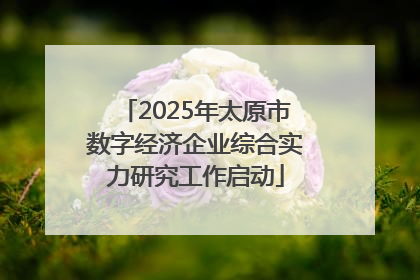 2025年太原市数字经济企业综合实力研究工作启动