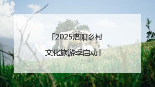 2025洛阳乡村文化旅游季启动