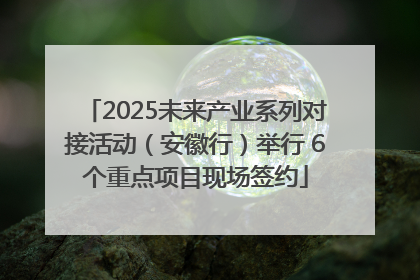 2025未来产业系列对接活动（安徽行）举行 6个重点项目现场签约