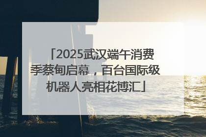 2025武汉端午消费季蔡甸启幕，百台国际级机器人亮相花博汇