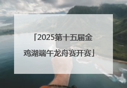 2025第十五届金鸡湖端午龙舟赛开赛
