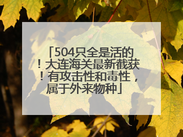 504只全是活的！大连海关最新截获！有攻击性和毒性，属于外来物种