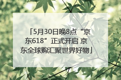 5月30日晚8点“京东618”正式开启 京东全球购汇聚世界好物