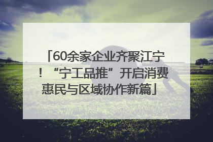 60余家企业齐聚江宁！“宁工品推”开启消费惠民与区域协作新篇