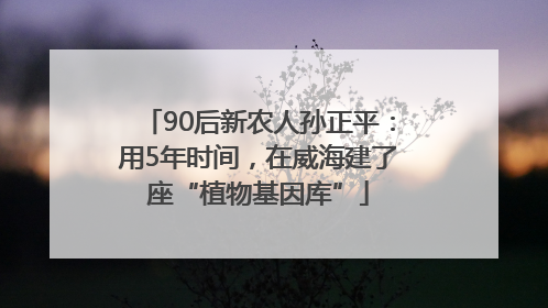 90后新农人孙正平：用5年时间，在威海建了座“植物基因库”