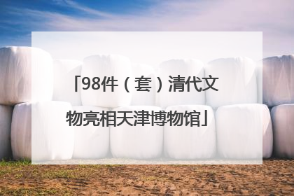 98件（套）清代文物亮相天津博物馆