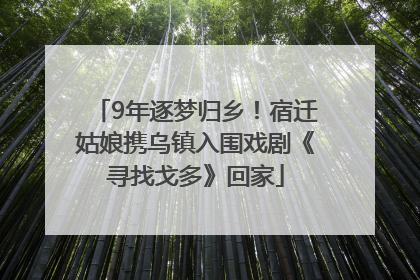 9年逐梦归乡！宿迁姑娘携乌镇入围戏剧《寻找戈多》回家