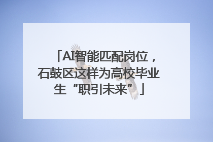 AI智能匹配岗位，石鼓区这样为高校毕业生“职引未来”