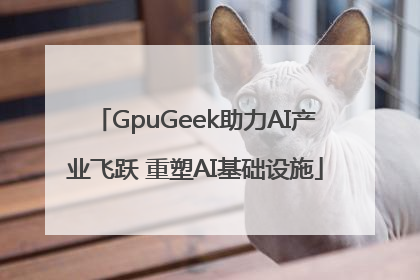 GpuGeek助力AI产业飞跃 重塑AI基础设施