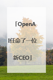 OpenAI任命了一位新CEO