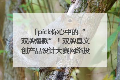 pick你心中的“双牌爆款”！双牌县文创产品设计大赛网络投票评选火热进行中